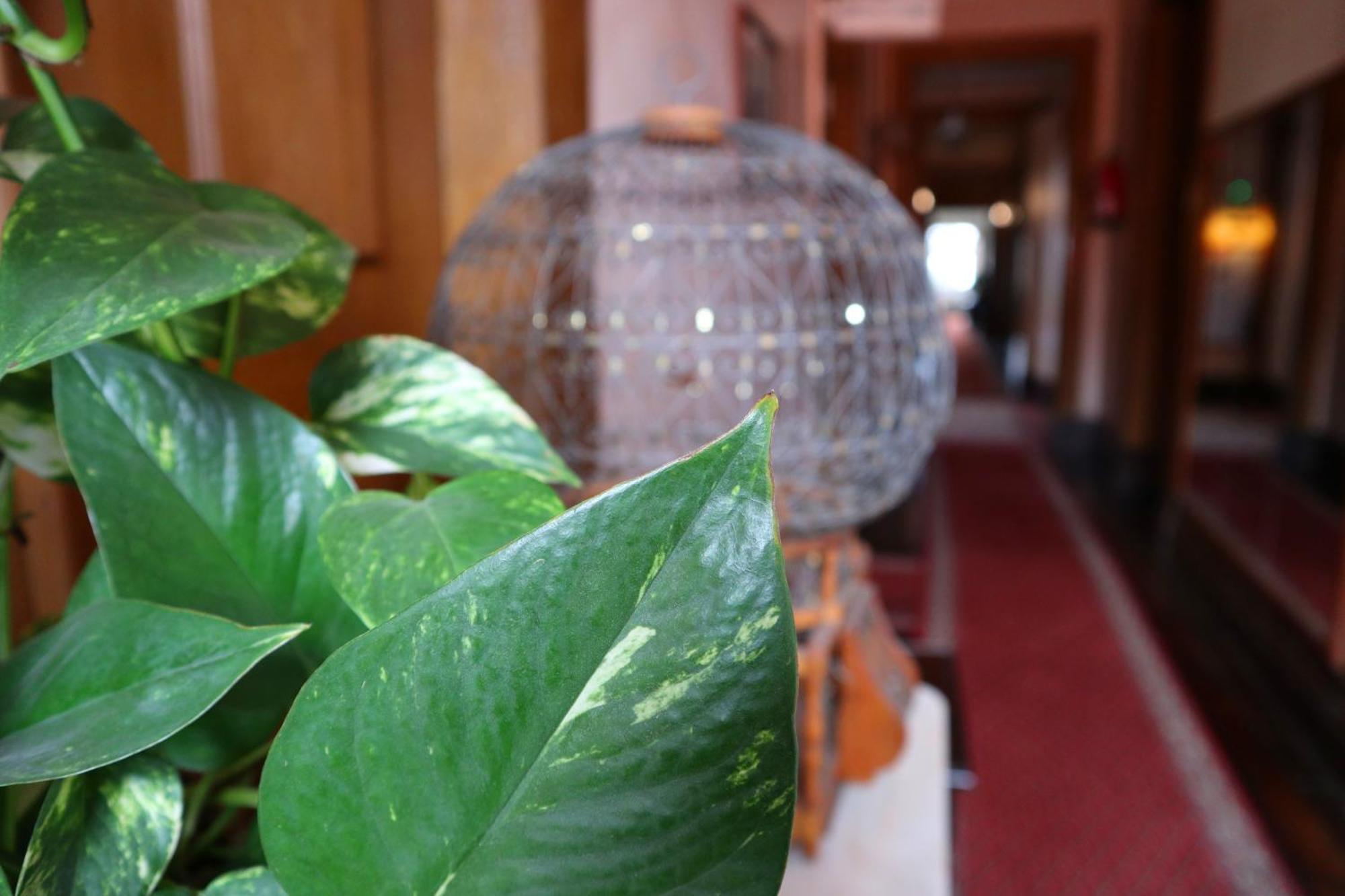 Alegre - Bussaco Boutique Hotel Luso  Ngoại thất bức ảnh